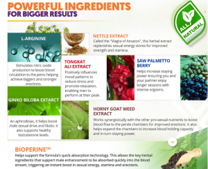 Vixea ManPlus Ingredients